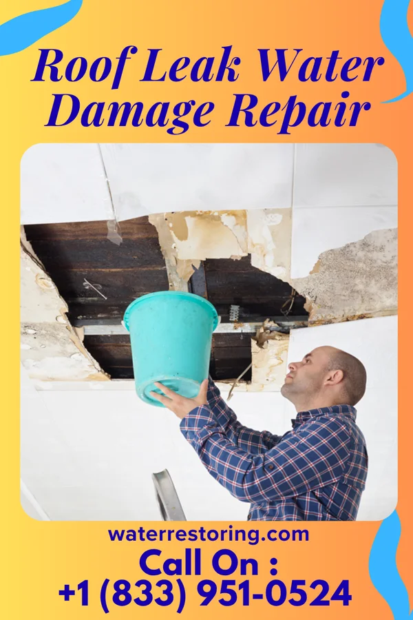 Roof Leak Water Damage Repair in Stickney, SD